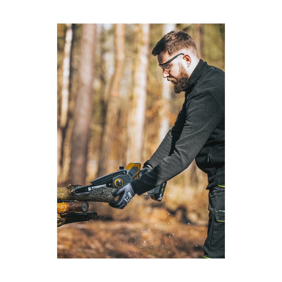 Profi feron cu acumulator PM-MPA-2AHM la un preț super!