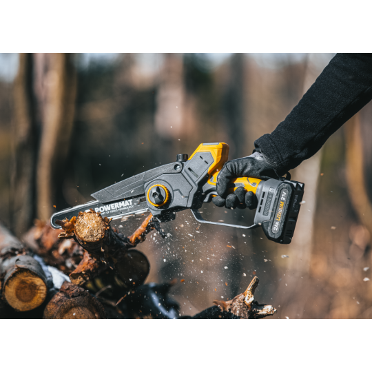 Profi feron cu acumulator PM-MPA-2AHM la un preț super!