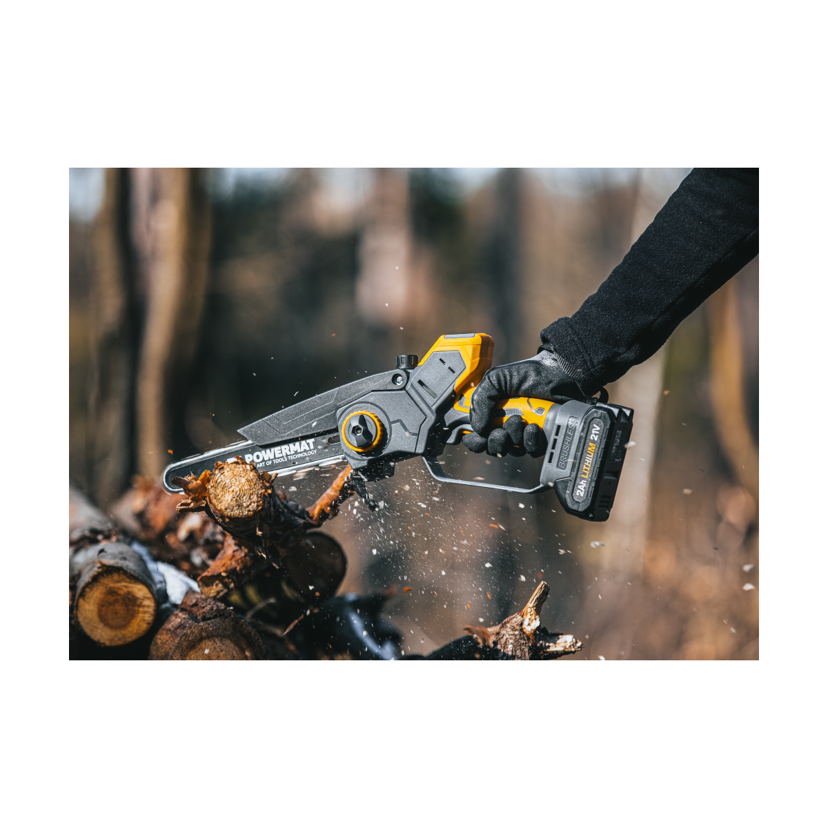 Profi feron cu acumulator PM-MPA-2AHM la un preț super!