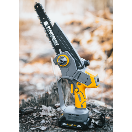 Profi feron cu acumulator PM-MPA-2AHM la un preț super!