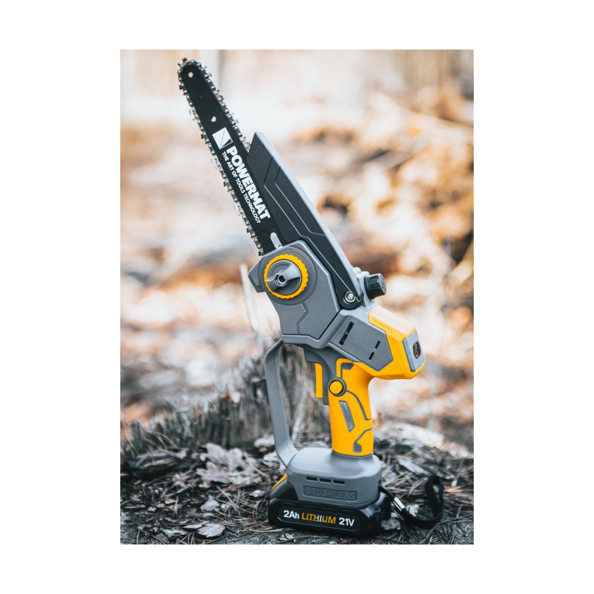 Profi feron cu acumulator PM-MPA-2AHM la un preț super!