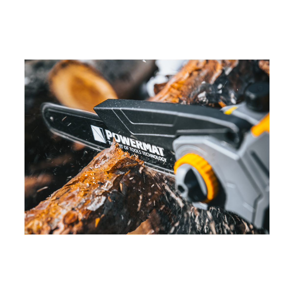 Profi feron cu acumulator PM-MPA-2AHM la un preț super!