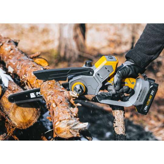 Profi feron cu acumulator PM-MPA-2AHM la un preț super!