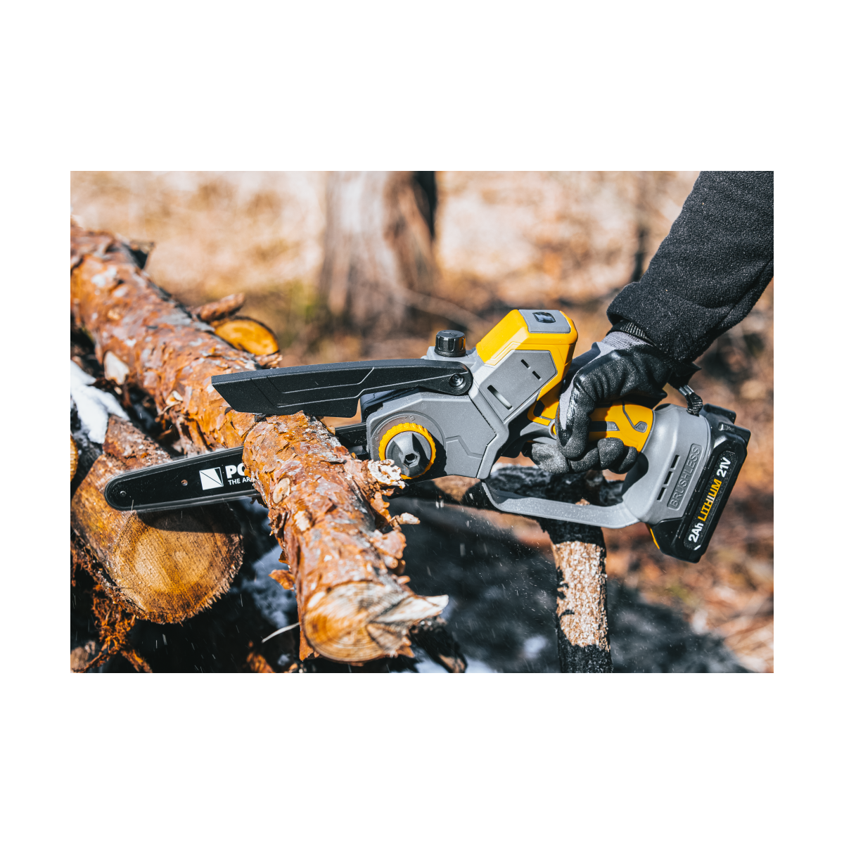 Profi feron cu acumulator PM-MPA-2AHM la un preț super!