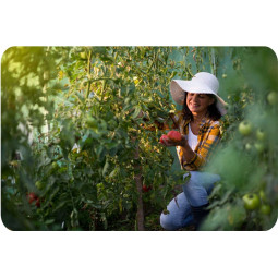 Seră de grădină cu dimensiunile 2x3,5 m