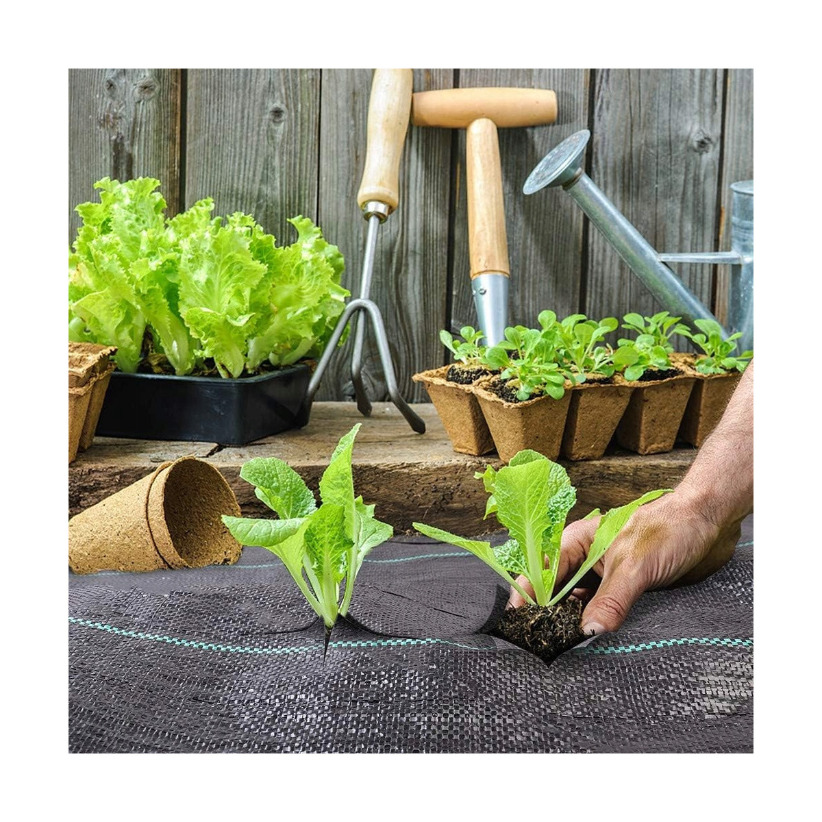 Țesătură agricolă practică de culoare neagră 70g/m 0,8x50m