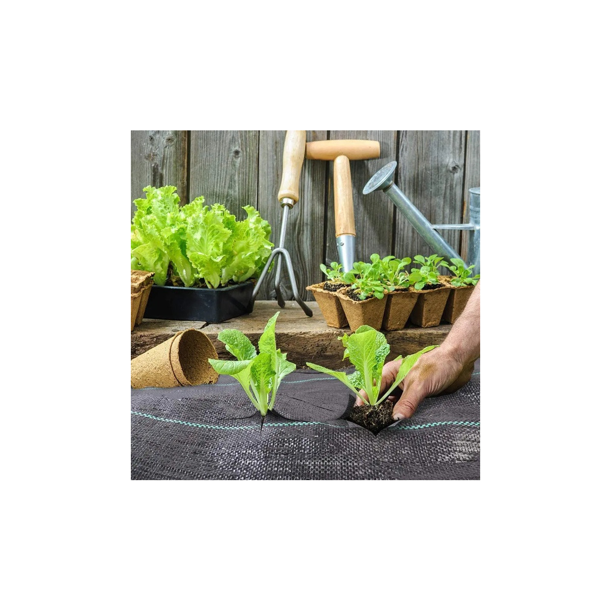 Țesătură agricolă pentru grădină de culoare neagră 135g/m2, 2,2x100