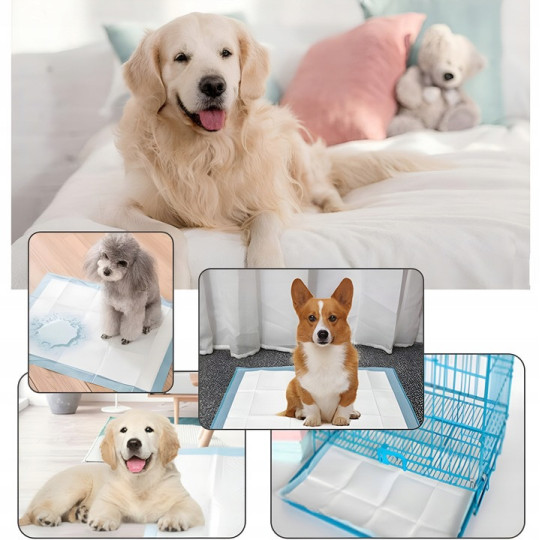 Saltele de antrenament pentru animale, dimensiune L - 60x60