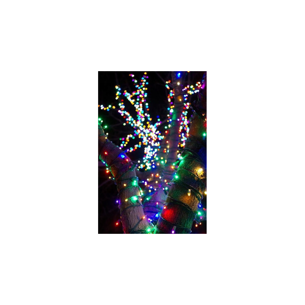 Lumină LED colorată de Crăciun pentru exterior, 100 LED