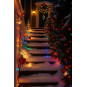 Lumină LED colorată de Crăciun pentru exterior, 100 LED