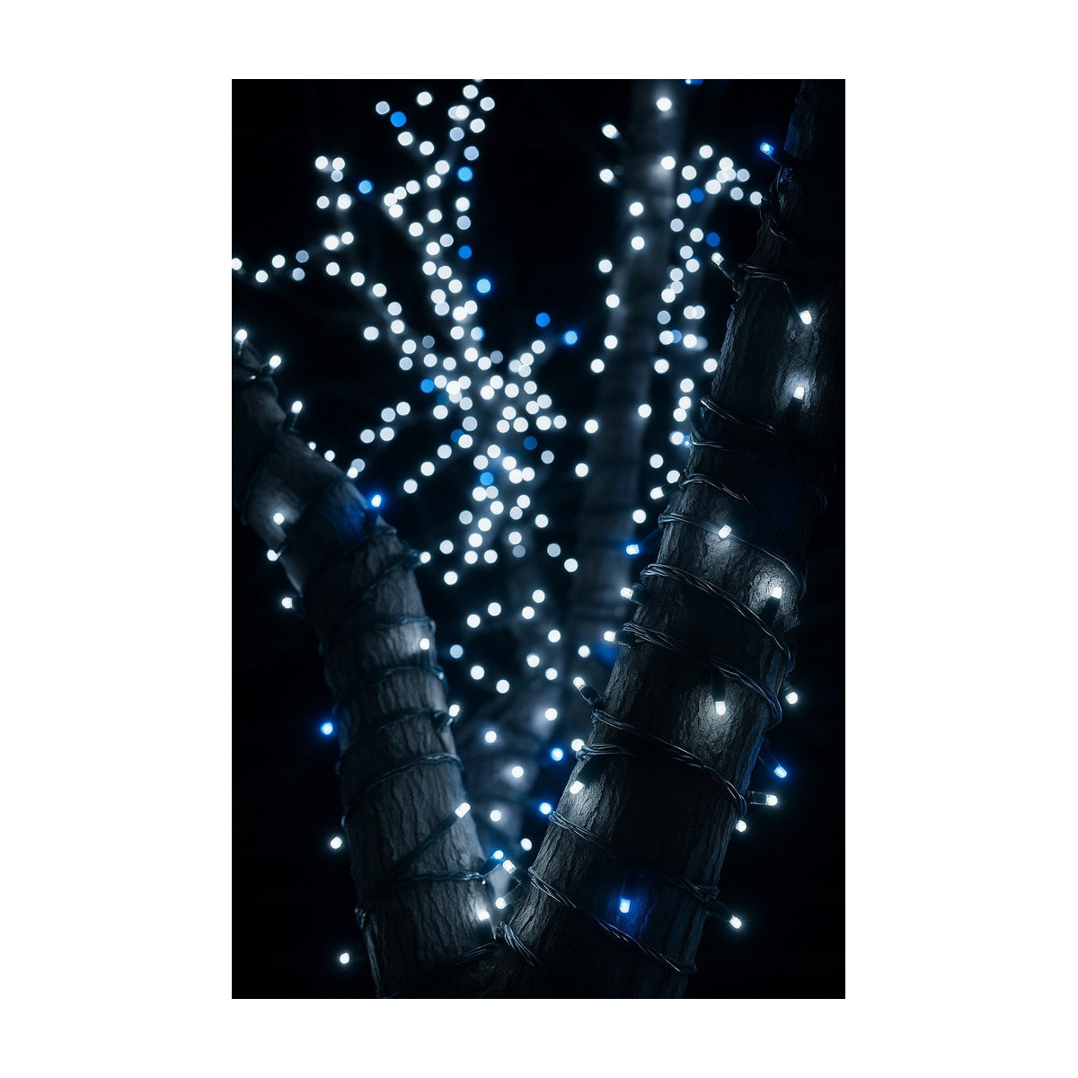 Lumini de Crăciun LED economice pentru exterior, alb rece 100 LED