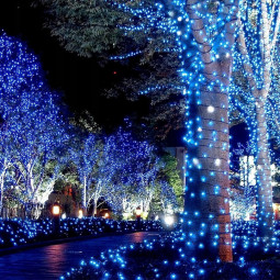 Luminari de Crăciun LED albastre 1000 bucăți cu efect