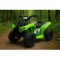 ATV cu baterie pentru copii J320, verde