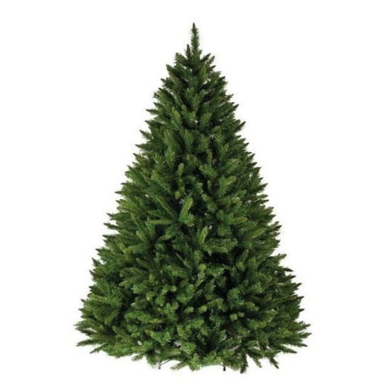 Krása bradului de Crăciun Caucazian 150 cm PREMIUM