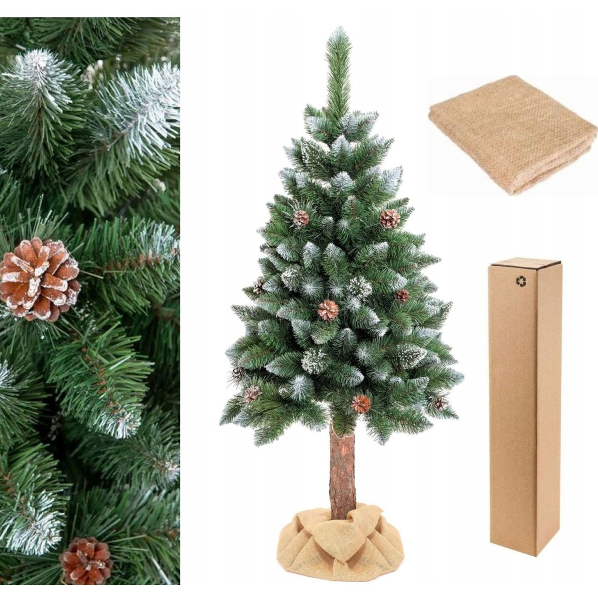 Păr de diamant pe trunchi cu conuri, 160cm, PREMIUM
