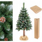 Păr de diamant pe trunchi cu conuri, 160cm, PREMIUM