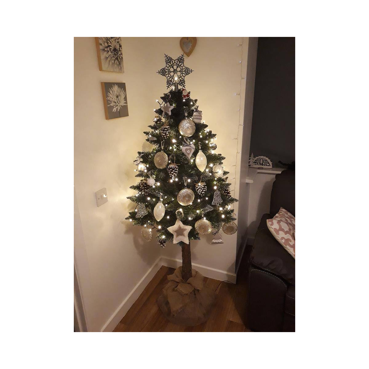 Păr de diamant pe trunchi cu conuri, 160cm, PREMIUM