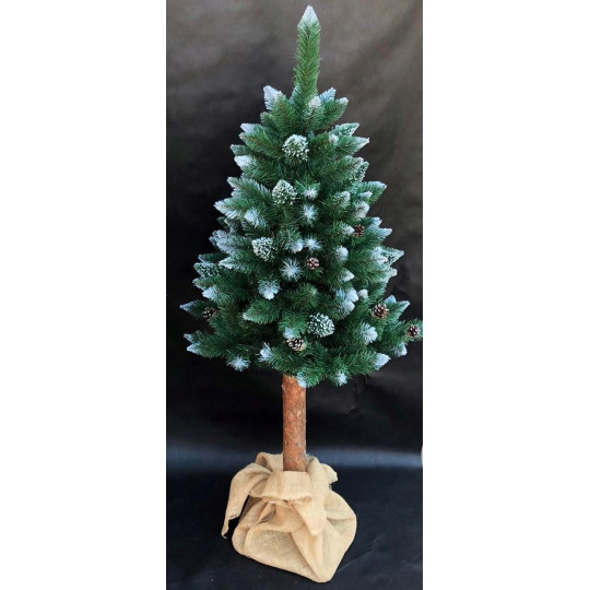 Păr de diamant pe trunchi cu conuri, 160cm, PREMIUM