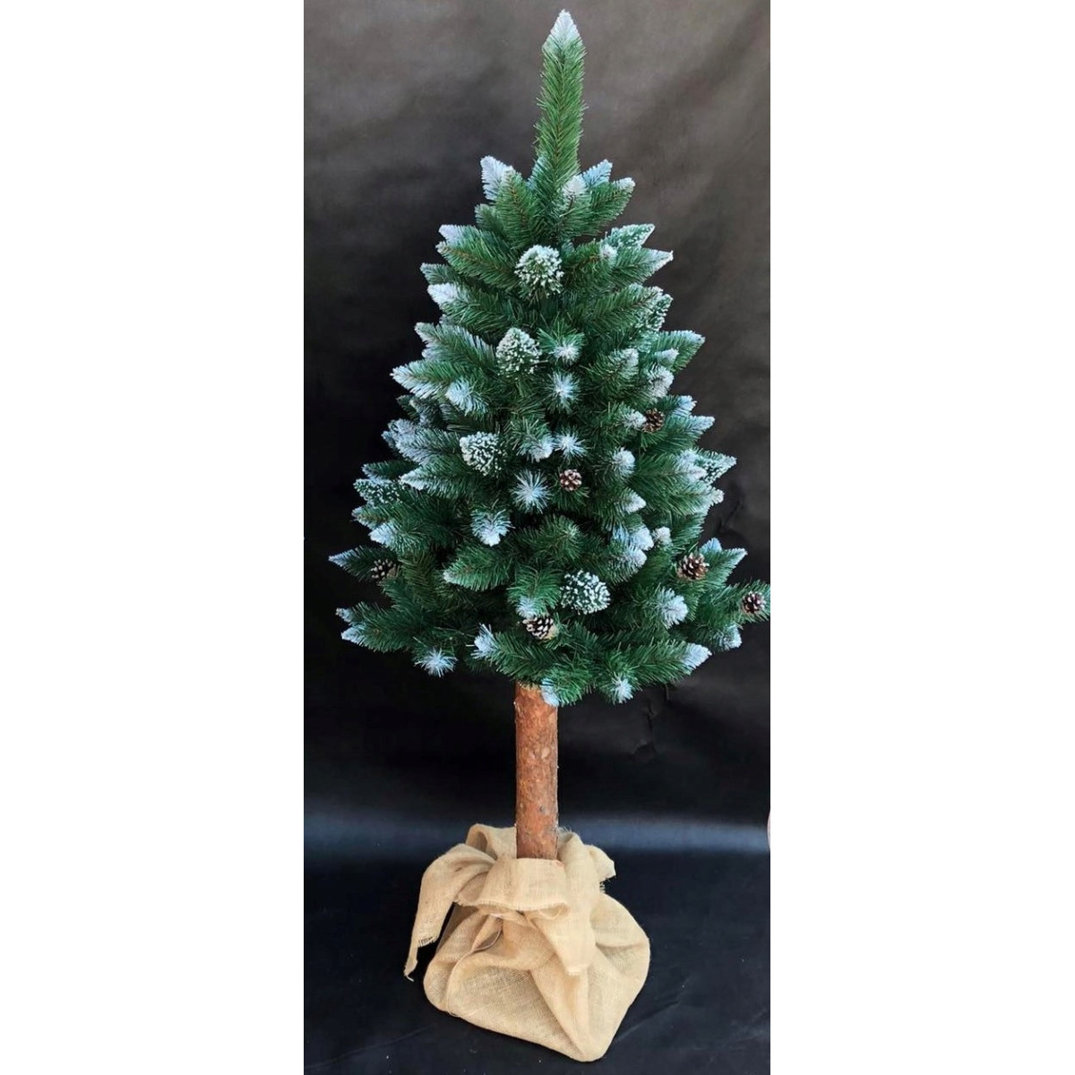Păr de diamant pe trunchi cu conuri, 160cm, PREMIUM