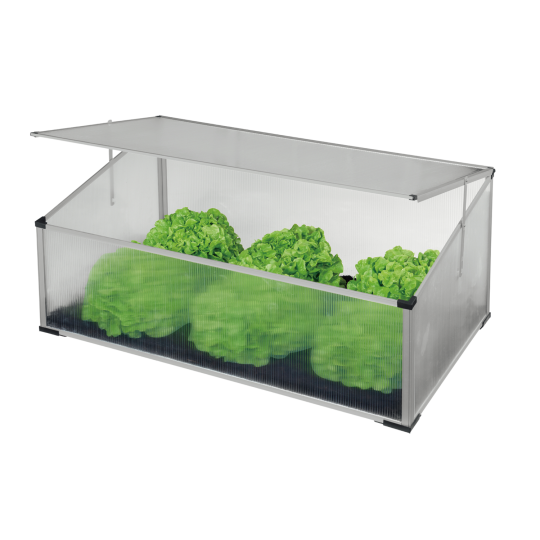 Mini seră, bazin din policarbonat 100 × 60 × 30/40 cm