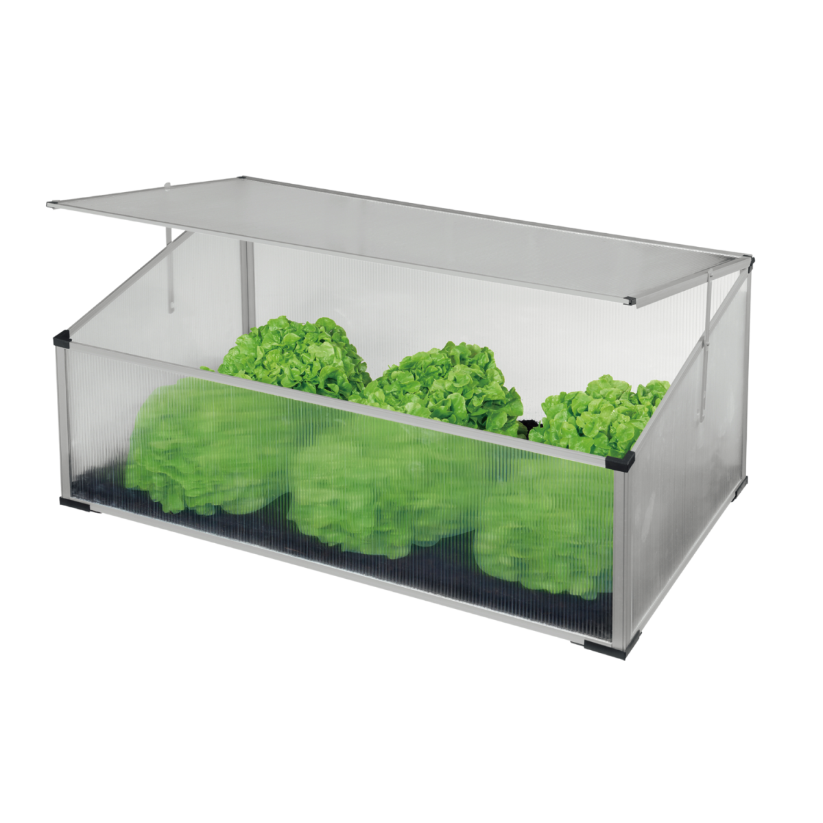 Mini seră, bazin din policarbonat 100 × 60 × 30/40 cm