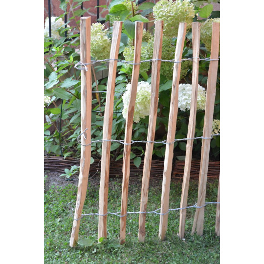 Război de hazelnut natural legat manual 70×300cm