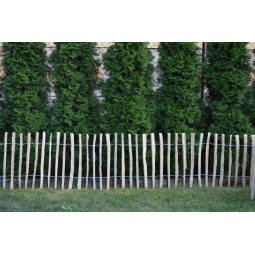 Război de alun natural legat manual 70×500 cm