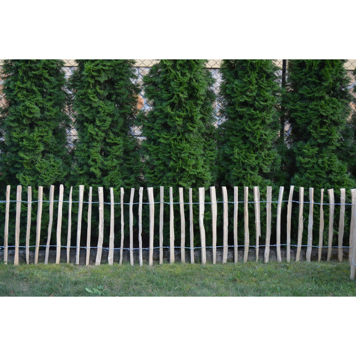 Război de alun natural legat manual 70×500 cm