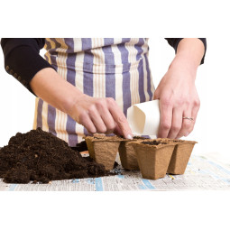 Sada 18 bucăți de ghivece din turbă 8 × 8 × 8 cm la un preț excelent