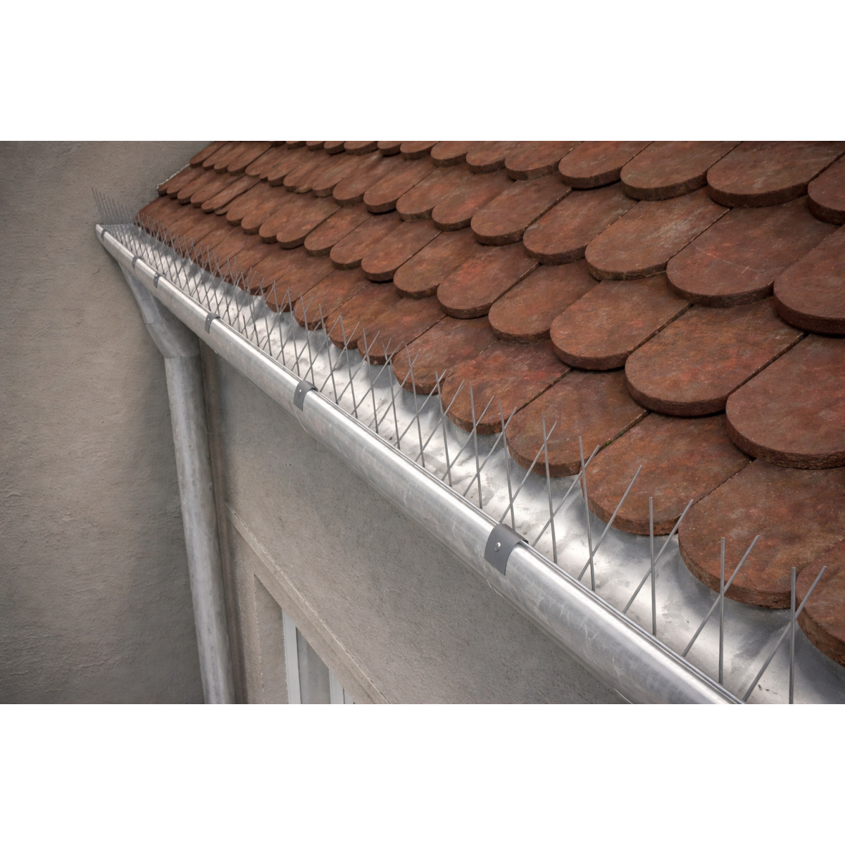 Protecție cu țepi pentru jgheaburi împotriva păsărilor PL2T