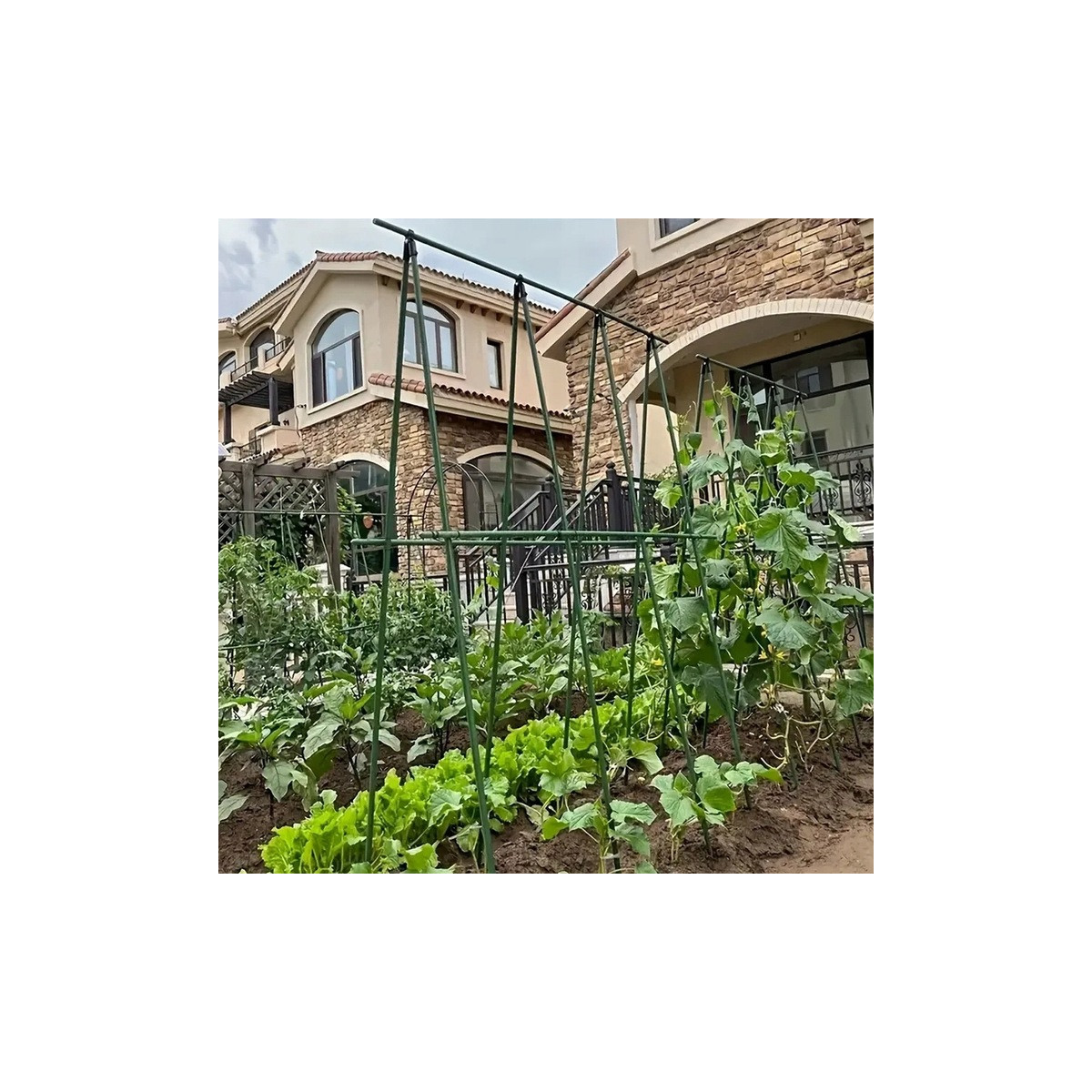 Palo de grădină cu cauciuc, cu diametrul de 11 mm și lungimea de 120 cm - 20 buc.