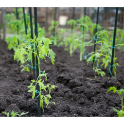 Ziditoare pentru roșii 180x11 - 10buc