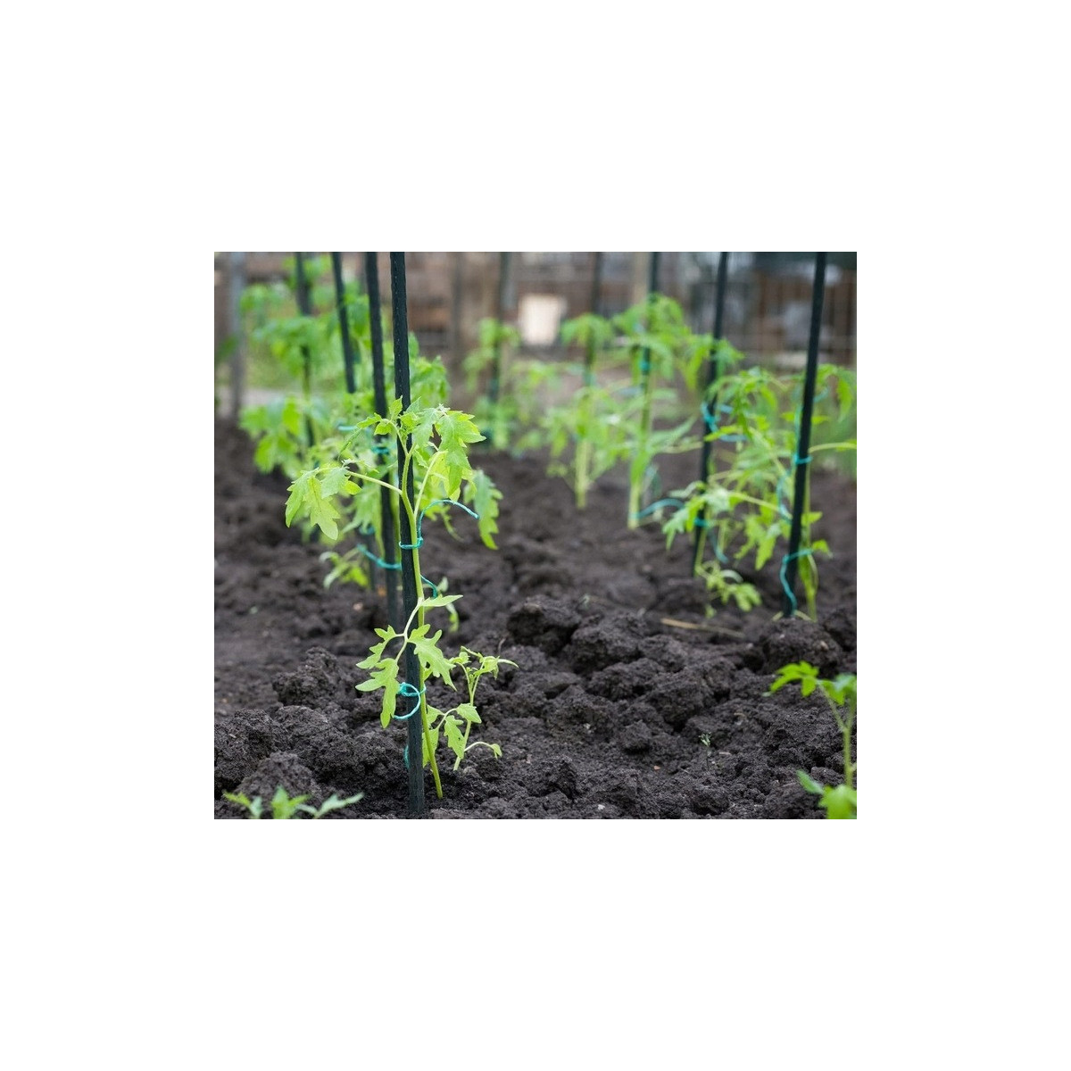Opere pentru plante 180x16 - 20 buc.