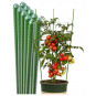 Opere pentru plante 180x16 - 20 buc.