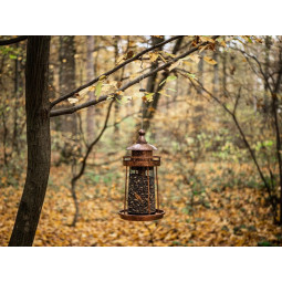 Hrănitoare Strend Pro pentru păsări, 32×17 cm, 950 ml, plastic, grilaj metalic.