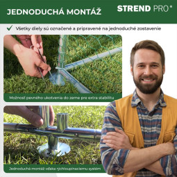 Curte pentru păsări, volieră, cușcă, coteț, cu acoperiș, 3x2x2 m