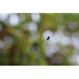 Rețea împotriva insectelor pentru fereastră 130 × 150 cm neagră