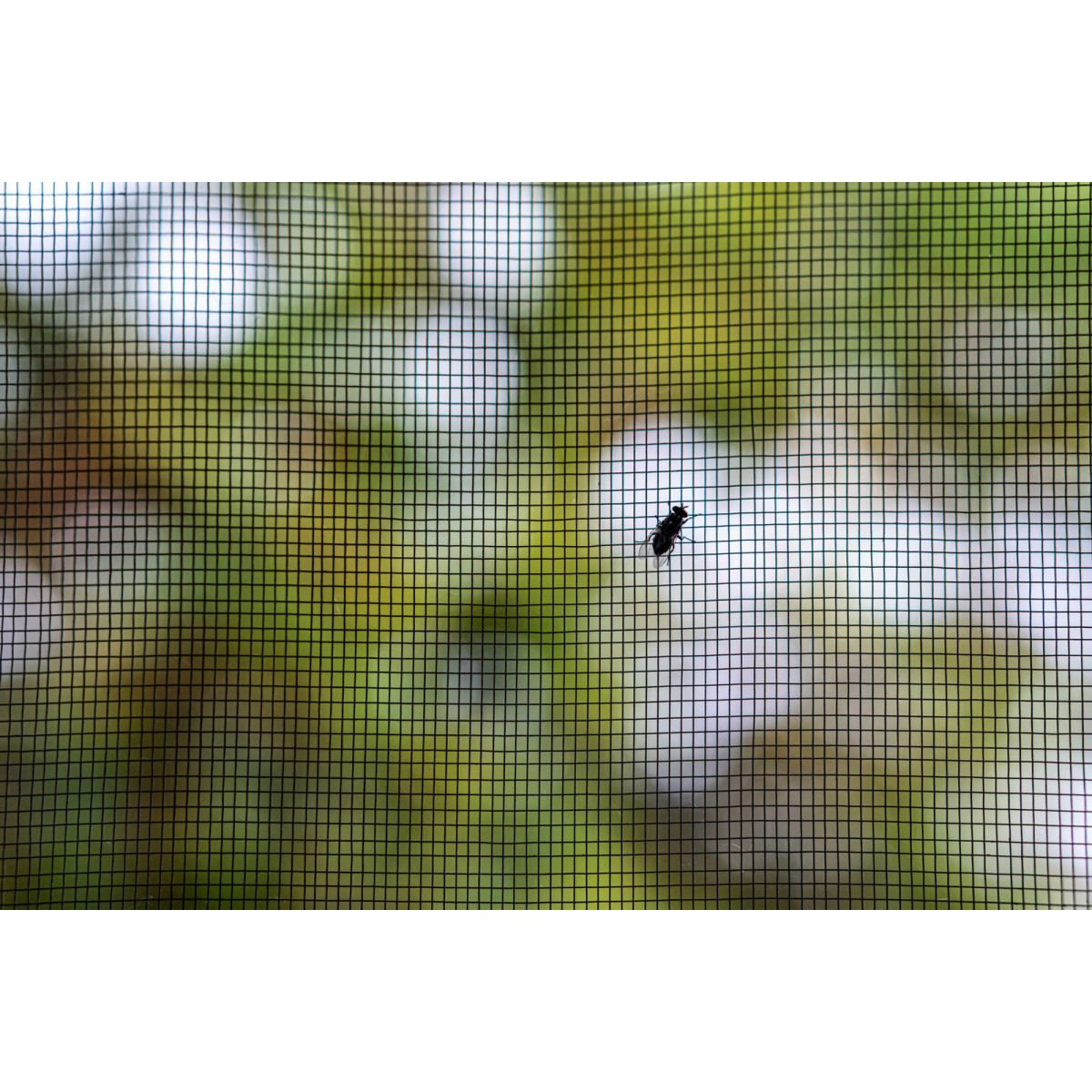 Rețea împotriva insectelor pentru fereastră 150 × 180 cm neagră