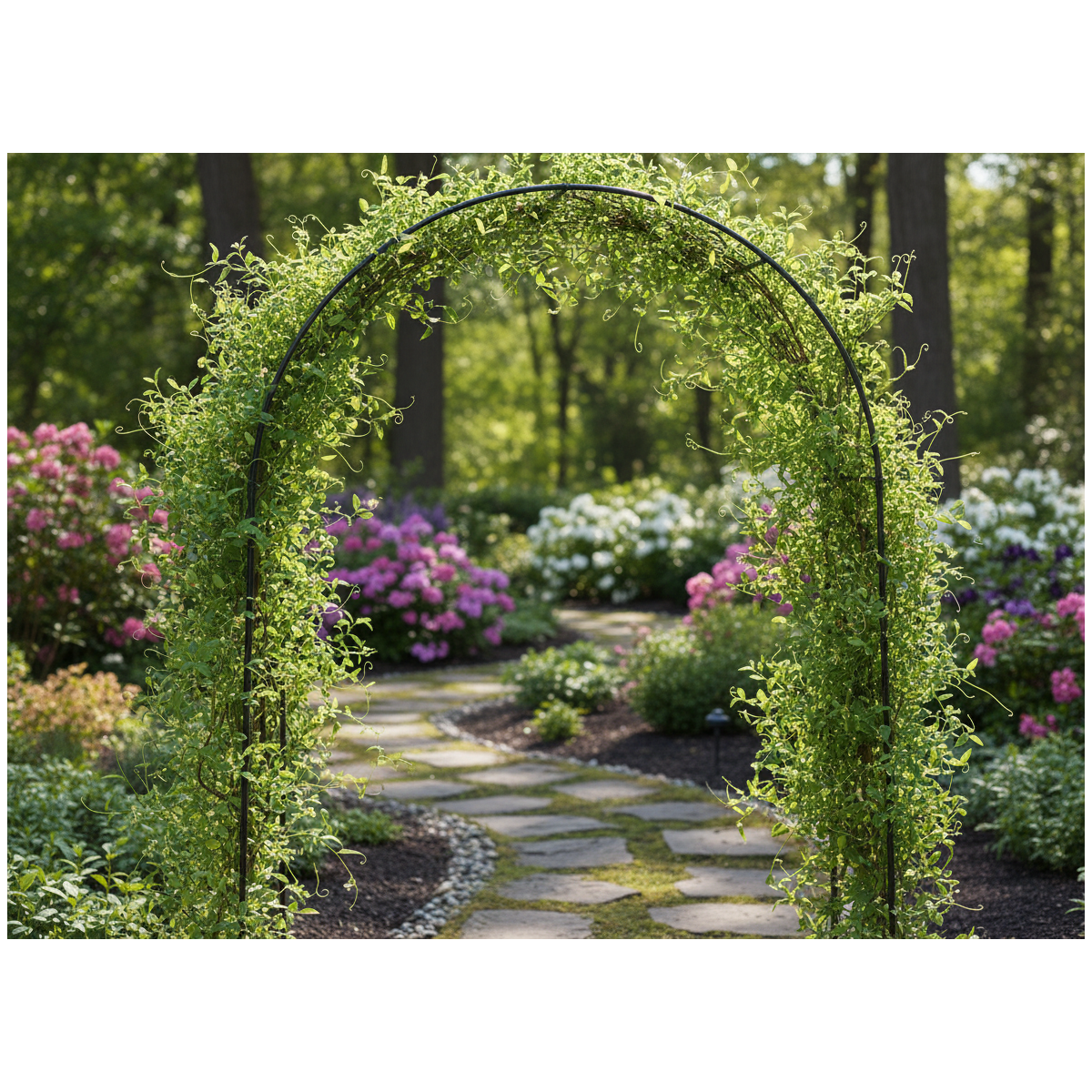 Pergolă de grădină 140 × 38 × 240 cm + ancore | Suport metalic pentru plante cățărătoare