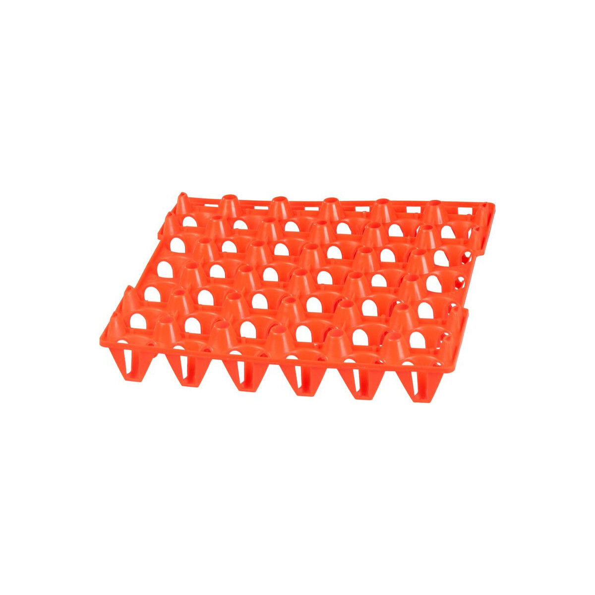 Preluci pentru 30 de ouă Strend Pro, din plastic, 29 × 4,5 cm