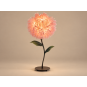 LED decorațiune florală crizantemă aciculară 1,5 m
