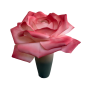 Decorațiune florală LED Trandafir în ghiveci 65 × 50 cm