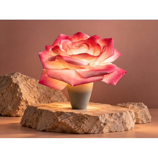 Decorațiune florală LED Trandafir în ghiveci 65 × 50 cm