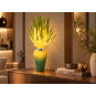 Decorațiune LED Aloe vera în ghiveci 80 × 40 cm