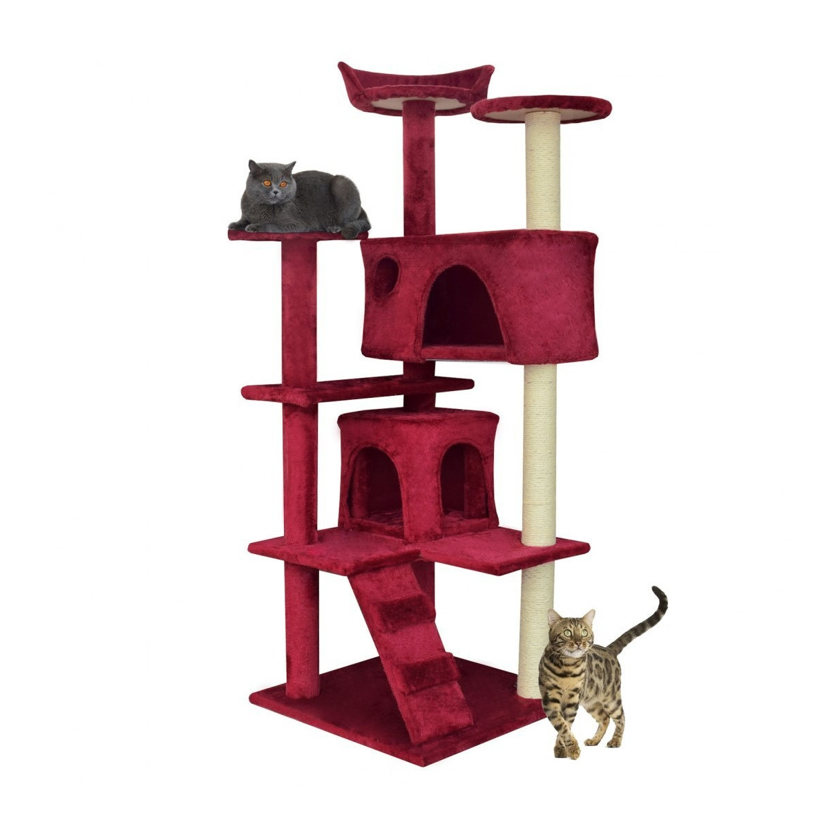 Pelech de lux pentru pisici de culoare roșie