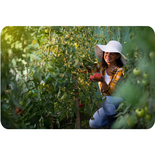 Seră de grădină cu dimensiunea de 2x3,5 m