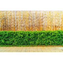 Zastrea de bambus de calitate 200cmx500cmx12mm