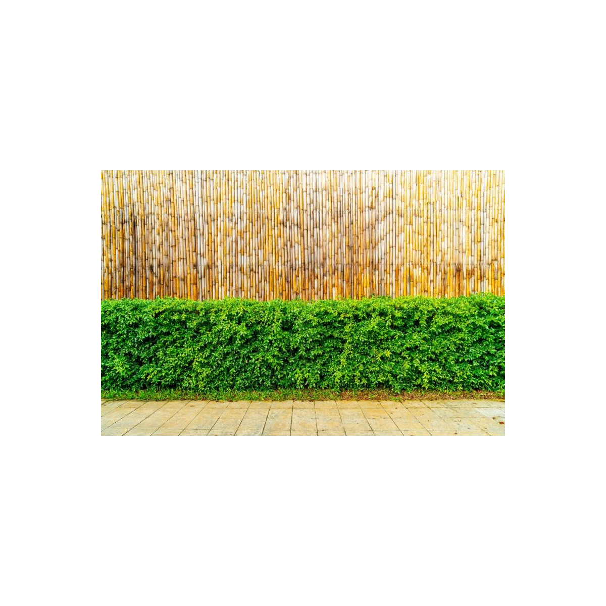 Plăci de bambus de calitate, cu dimensiunea de 150cmx300cmx12mm