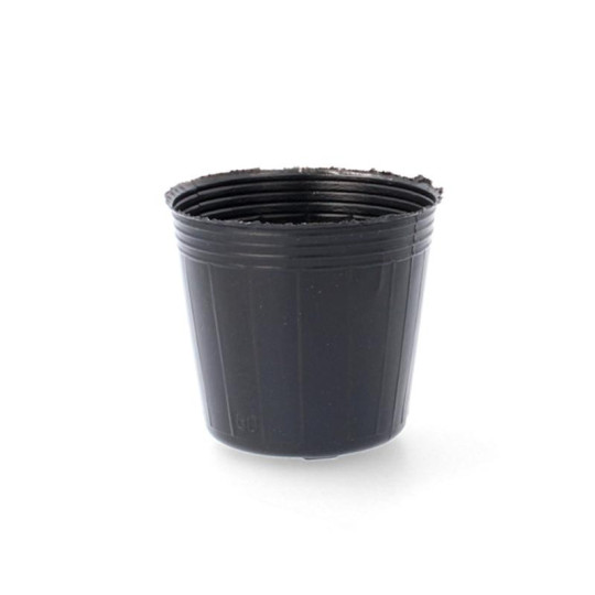 Set de ghivece pentru răsaduri 60x45x58 mm
