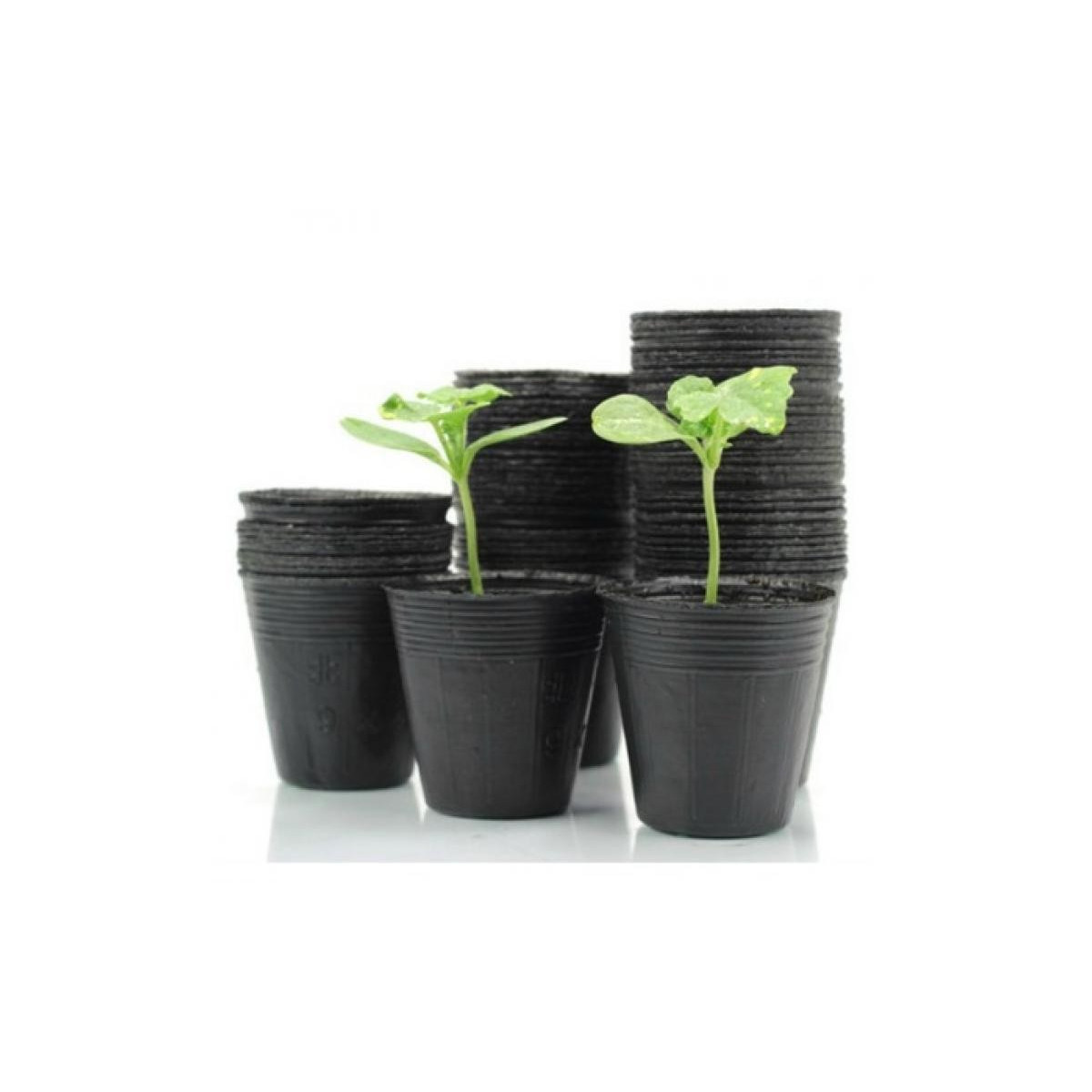 Set de ghivece pentru răsaduri 60x45x58 mm
